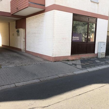 Monteurwohnung Im Zentrum Вормс Екстер'єр фото